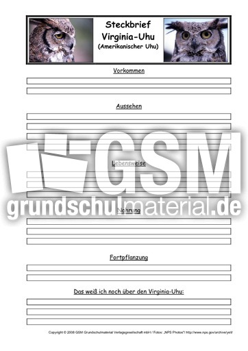 Virginia-Uhu-Steckbriefvorlage.pdf